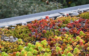 the cost of Holnest green roof installation