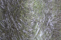 Holnest fibreglass roof work