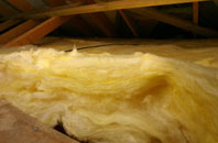 Holnest pitch roof insulation